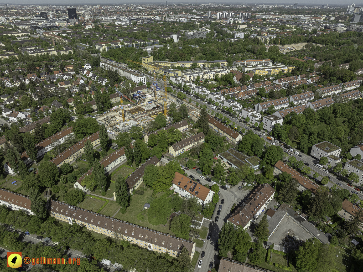 30.04.2024 - Die Maikäfersiedlung in Berg am Laim
