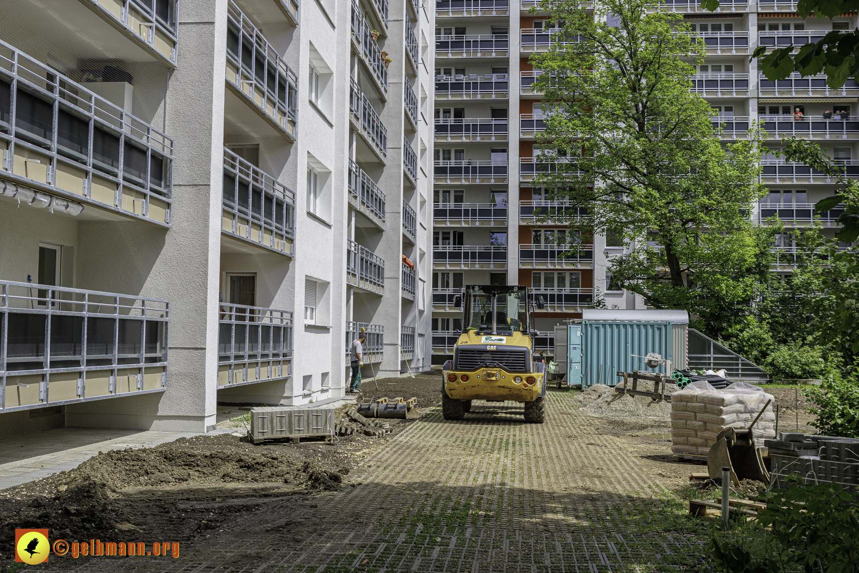 25.04.2024 - Sanierung und Blumenbeet am Karl-Marx-Ring 11-21