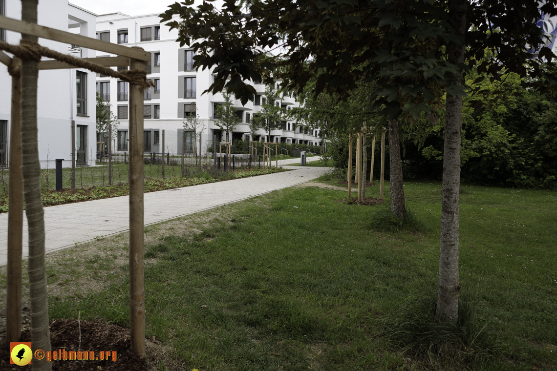 15.06.2024 - Baustelle Pandion Verde und Alexisquartier