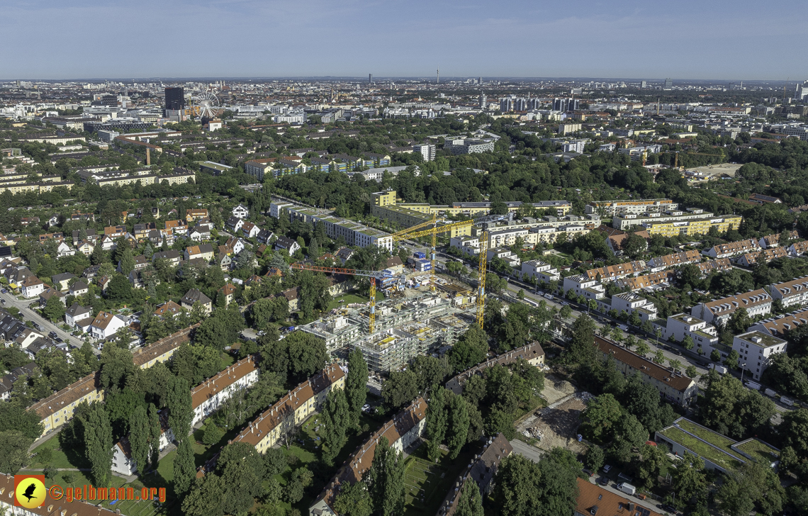 15.07.2024 - Maikäfersiedlung in Berg am Laim