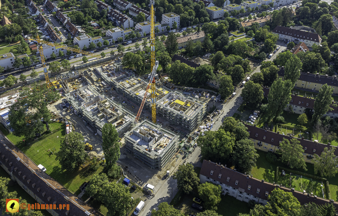 15.07.2024 - Maikäfersiedlung in Berg am Laim