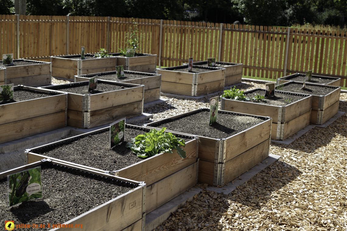 29.07.2024 - Baustelle Karl-Marx-Ring 11-21 in Neuperlach