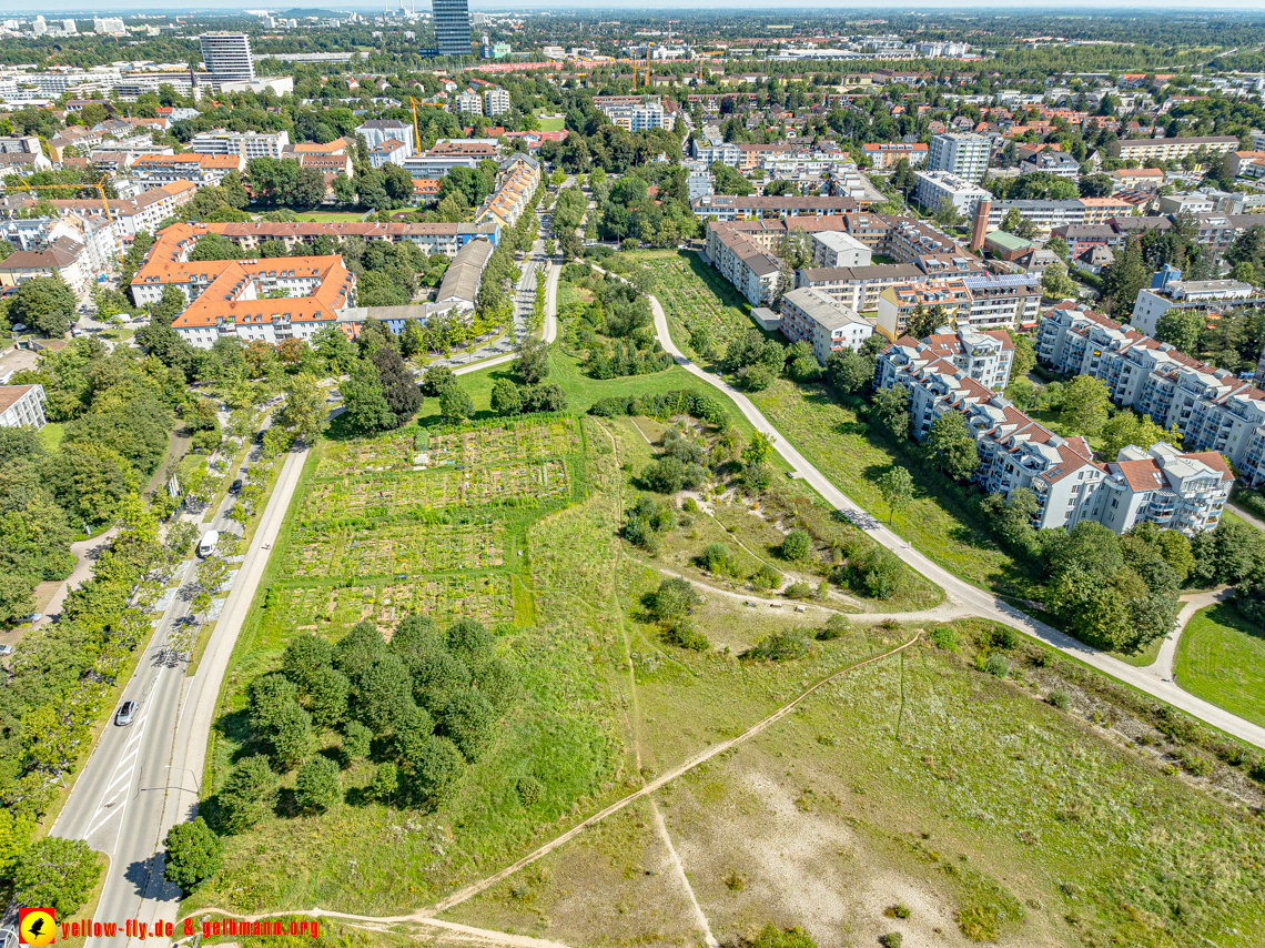 06.08.2024 - der verschwundene Hachinger Bach in Berg am Laim