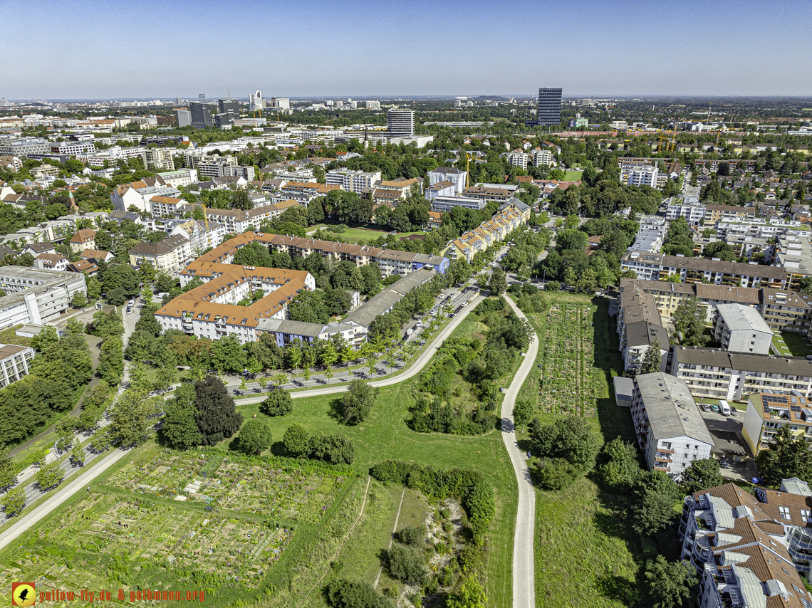 14.08.2024 - Hachinger Bach in berg am Laim