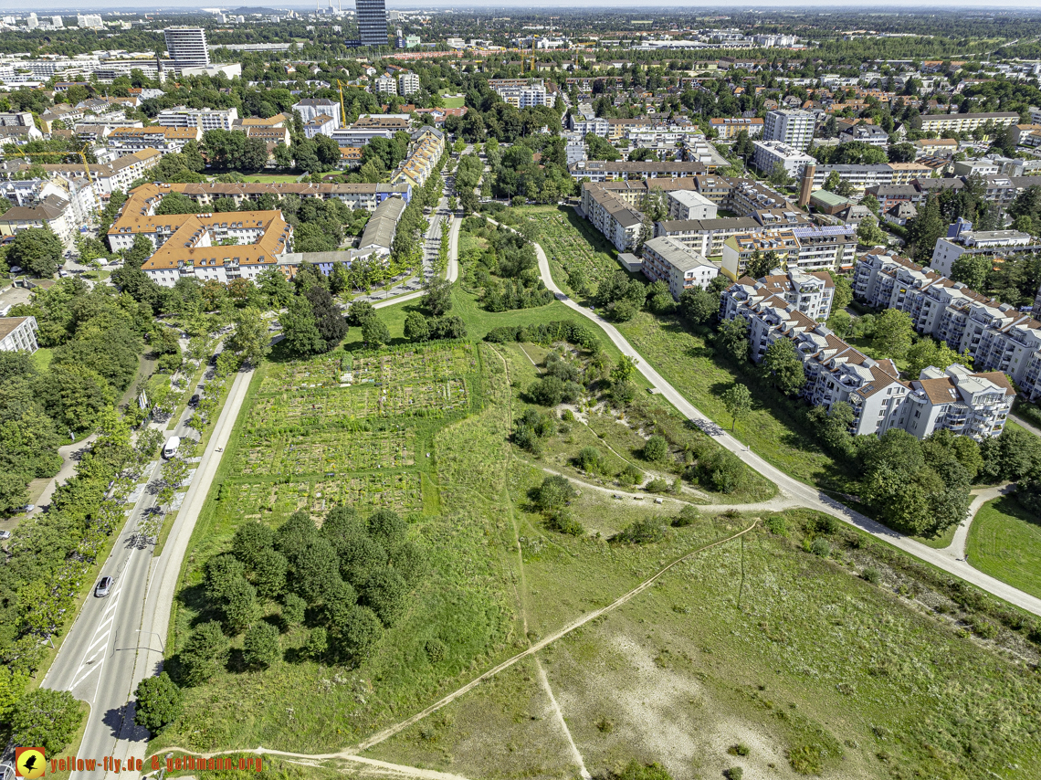 14.08.2024 - Hachinger Bach in berg am Laim