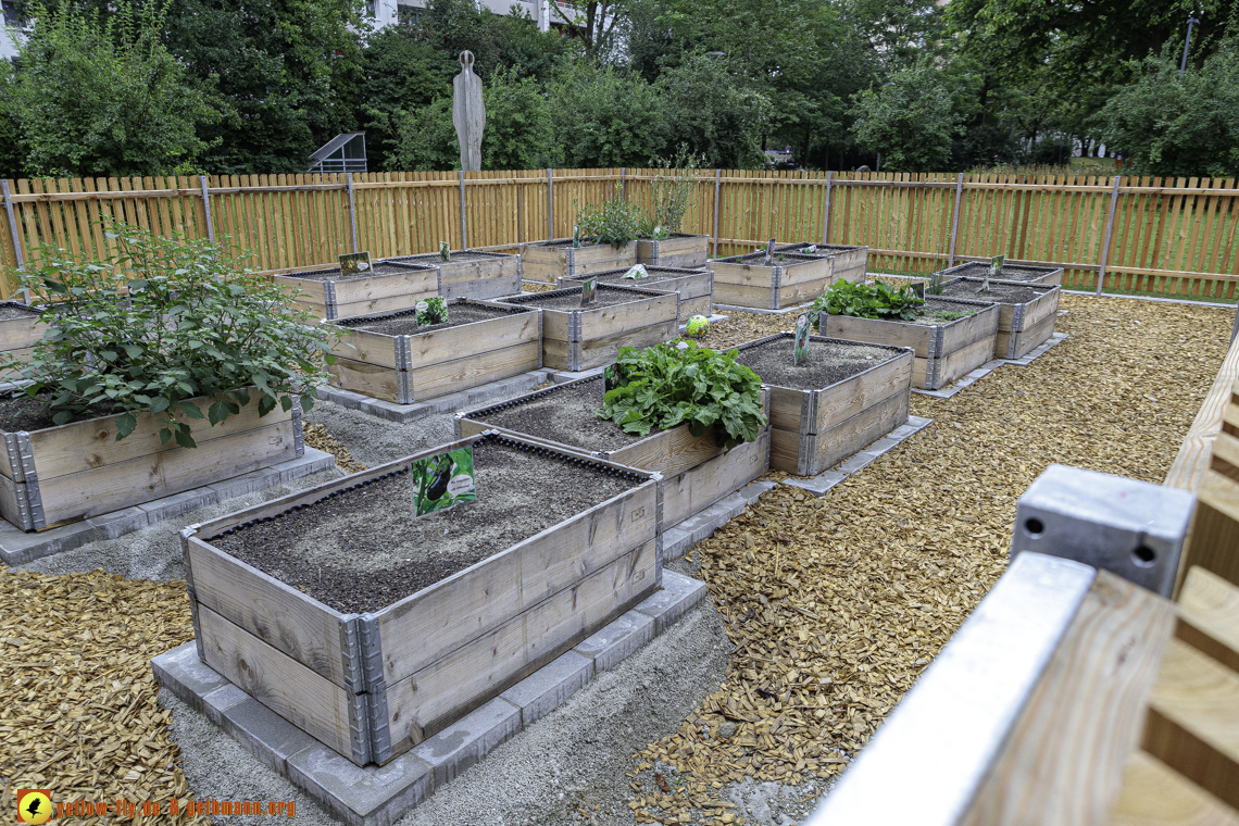 18.08.2024 - GEWOFAG-Baustelle am Karl-Marx-Ring 11-21