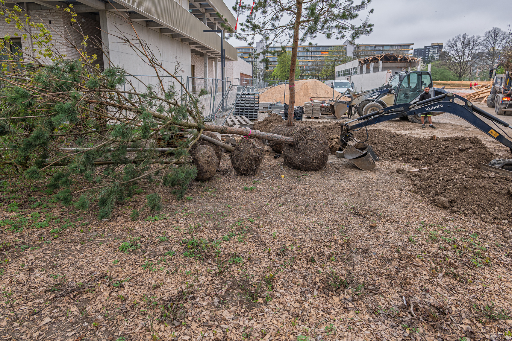 16.04.2025 - Abriss der Grundschule am Karl-Marx-Ring