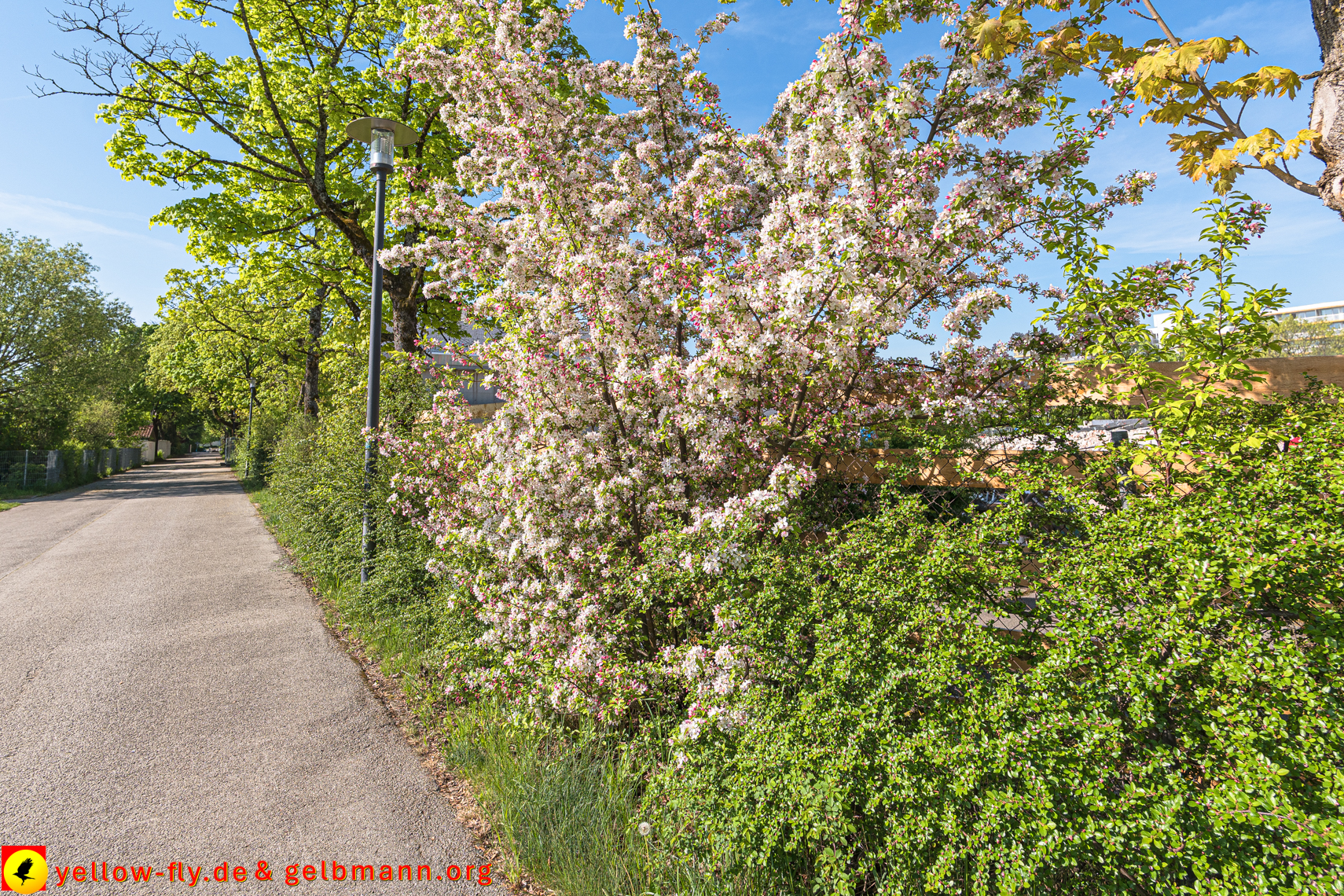28.04.2025 - Abriss der Grundschule am Karl-Marx-Ring