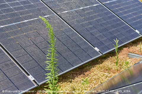 05.07.2025 - Dachbegehung mit der Münchner Wohnen am Karl-Marx-Ring 11-21 in Neuperlach