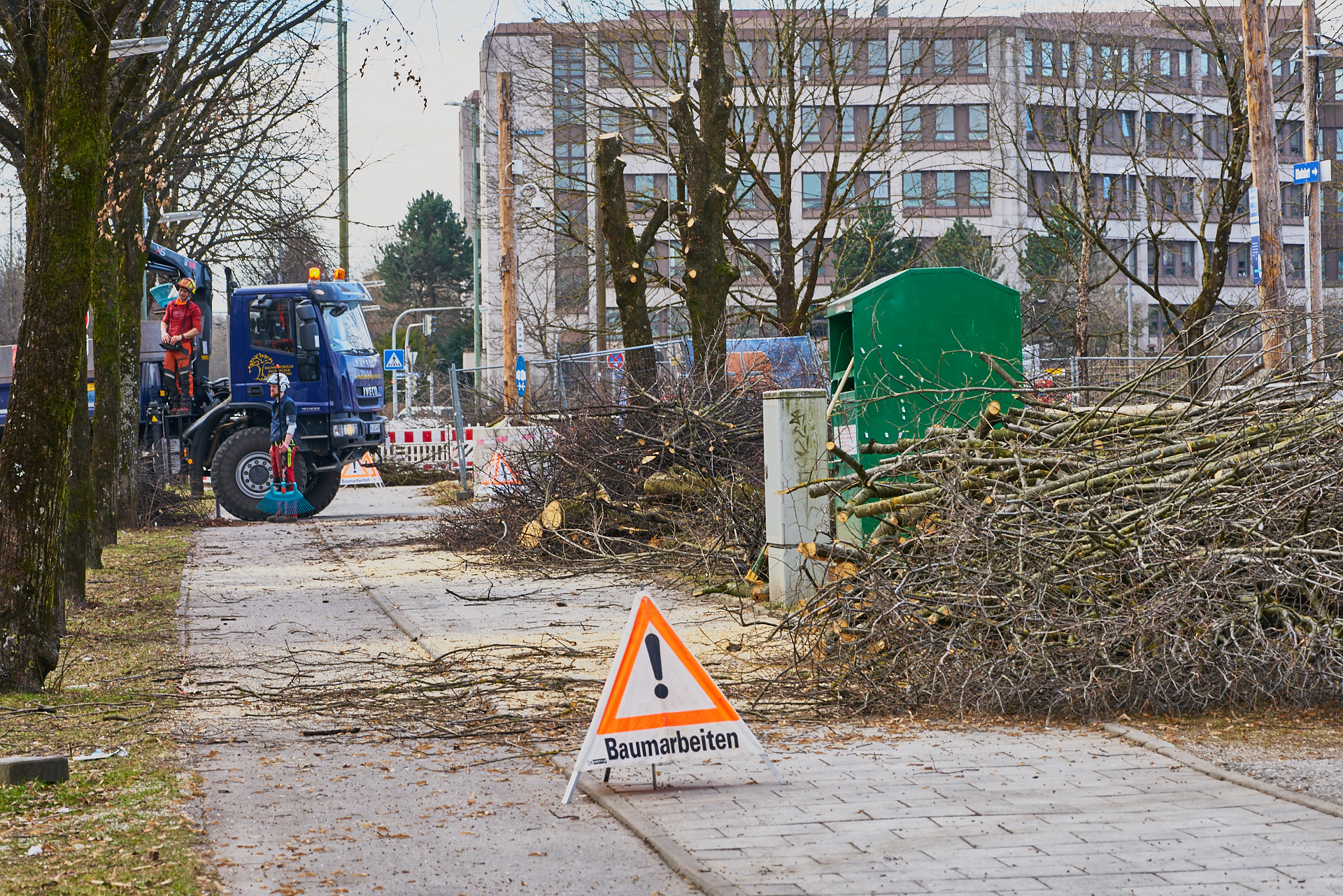 27.02.2017 - Baumfällung auf dem Hanns-Seidel-Platz