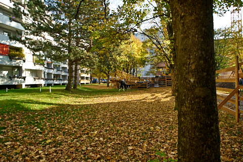 23.10.2019 - Ein Kran für den Oskar-Maria-Graf-Ring