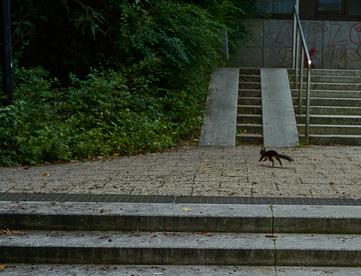 22.09.2019 - Abrissbaustelle Quiddezentrum in Neuperlach