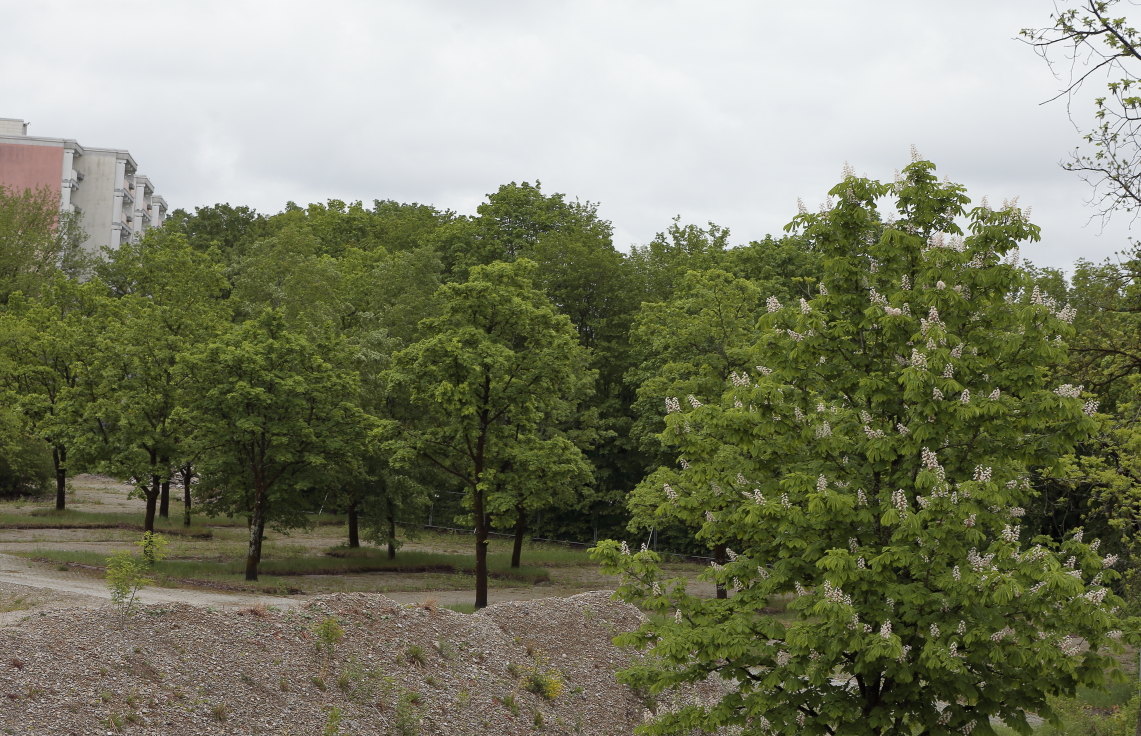 09.05.2024 - Baustelle Quiddezentrum in Neuperlach